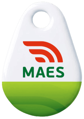 MAES laadpas badge